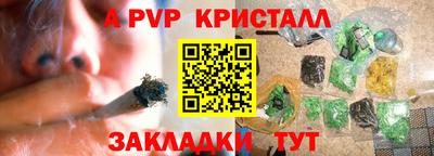 PSILOCYBIN Камышлов