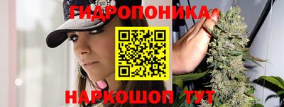 a pvp Кандалакша