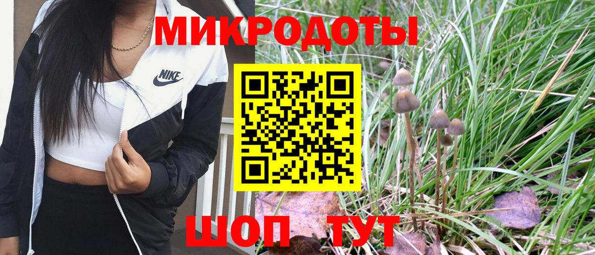 Изобильный  где купить наркоту  Вход с VPN  Галлюциногенные грибы Psilocybe 